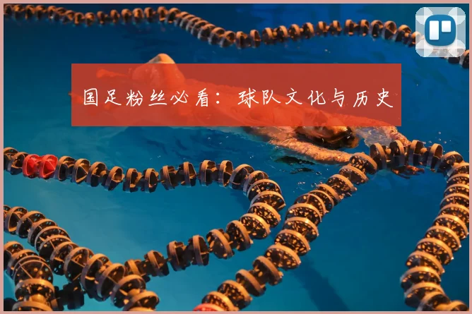 国足粉丝必看：球队文化与历史
